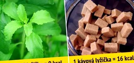încercat stevia
