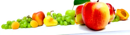 fructe legume