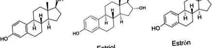 estrogen