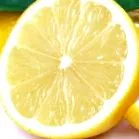 fruct ceea înseamnă