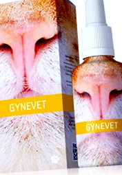 producția