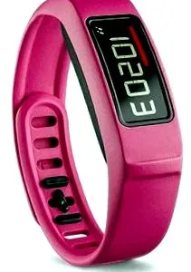 garmin