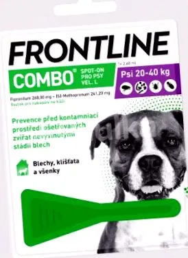 frontline