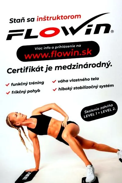 stabilitatea flowin