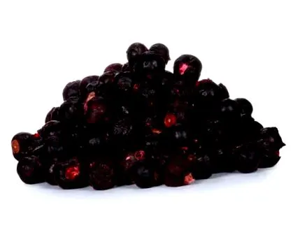 касис лиофилизиран