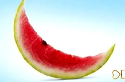 anyagcserénk easydiet