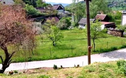 fenomenală