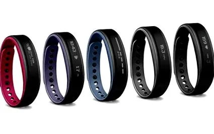 vivosmart