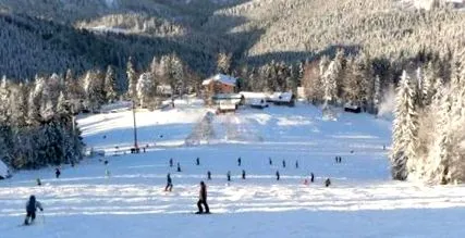 zăpadă schiuri