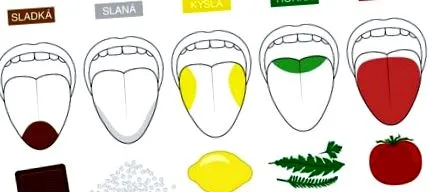 naturală prime
