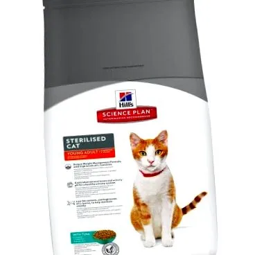 tineri feline
