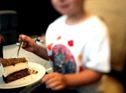 alchímira zsír kcal