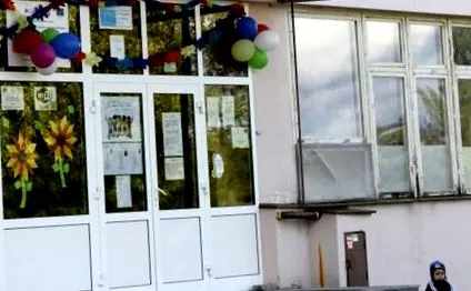 pisicile statutului