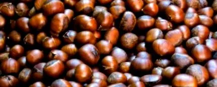brune fructe