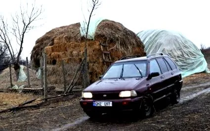 Állatblog Táplálkozást gondozó