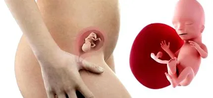 Počas tohto obdobia