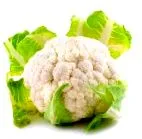 conopidă