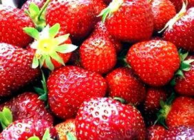 calorii