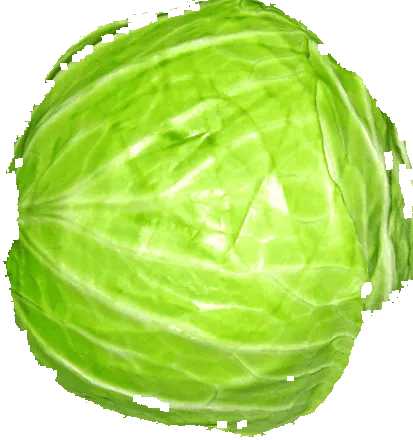 dieta varză