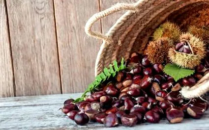 bucătărie comestibile
