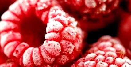 congelate