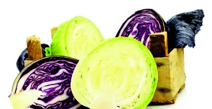 кашлица