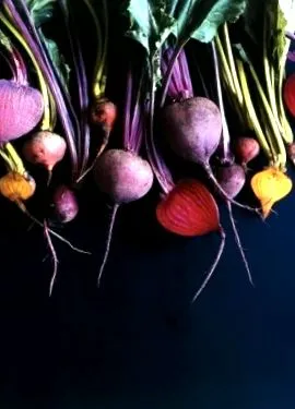 legume