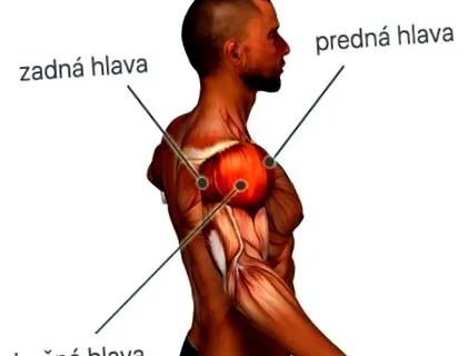 lumea