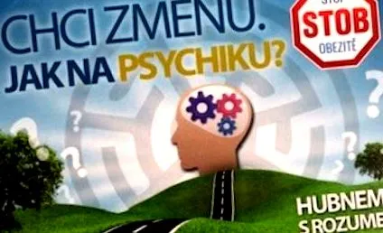 bază bază
