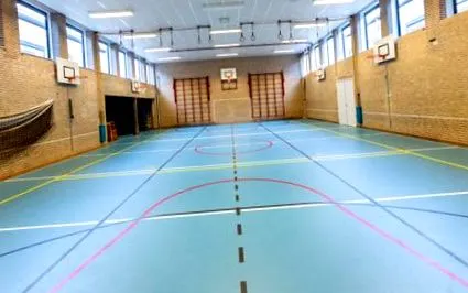 închiriate