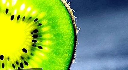 kiwi kiwi