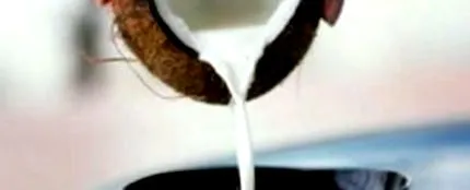 ulei cocos
