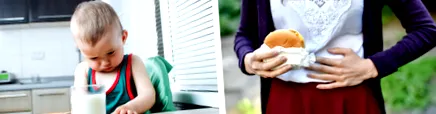 proteinelor