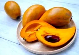 zdravopedia lucuma