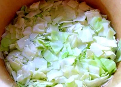 piept varză