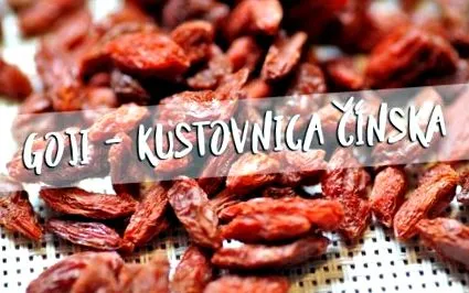 experiențe