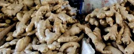 răcelilor