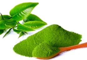 matcha
