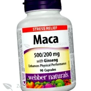 ginseng maca