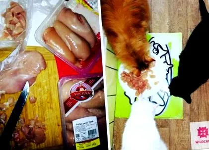 carne măruntaie