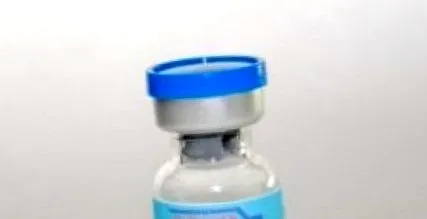 iubitorii cale