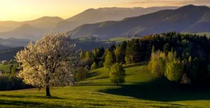 slovac