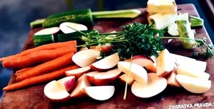 vegetarian pentru câini