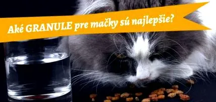 macskáknak legjobb
