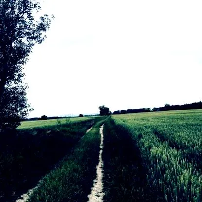 suntem