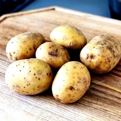 lumea toată