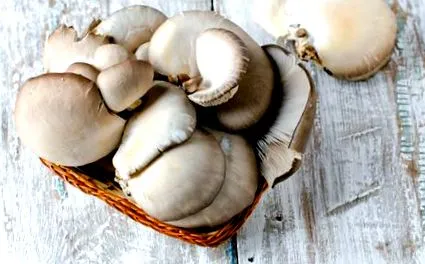 сурови