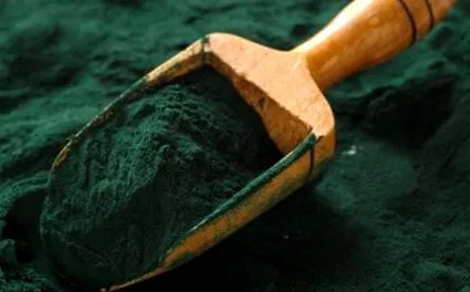 spirulina