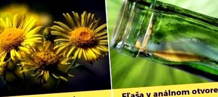 toate acestea