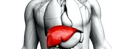 programul metabolic balance®